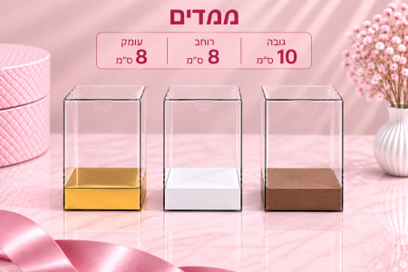 קופסת PVC שקופה – 10×8×8 ס״מ – 10 יחידות