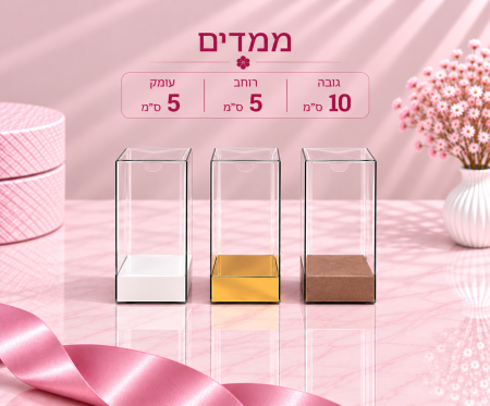 קופסת PVC שקופה – 10×5×5 ס״מ – 10 יחידות